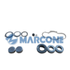 Kit di riparazione per revisione pinza | MRC1300